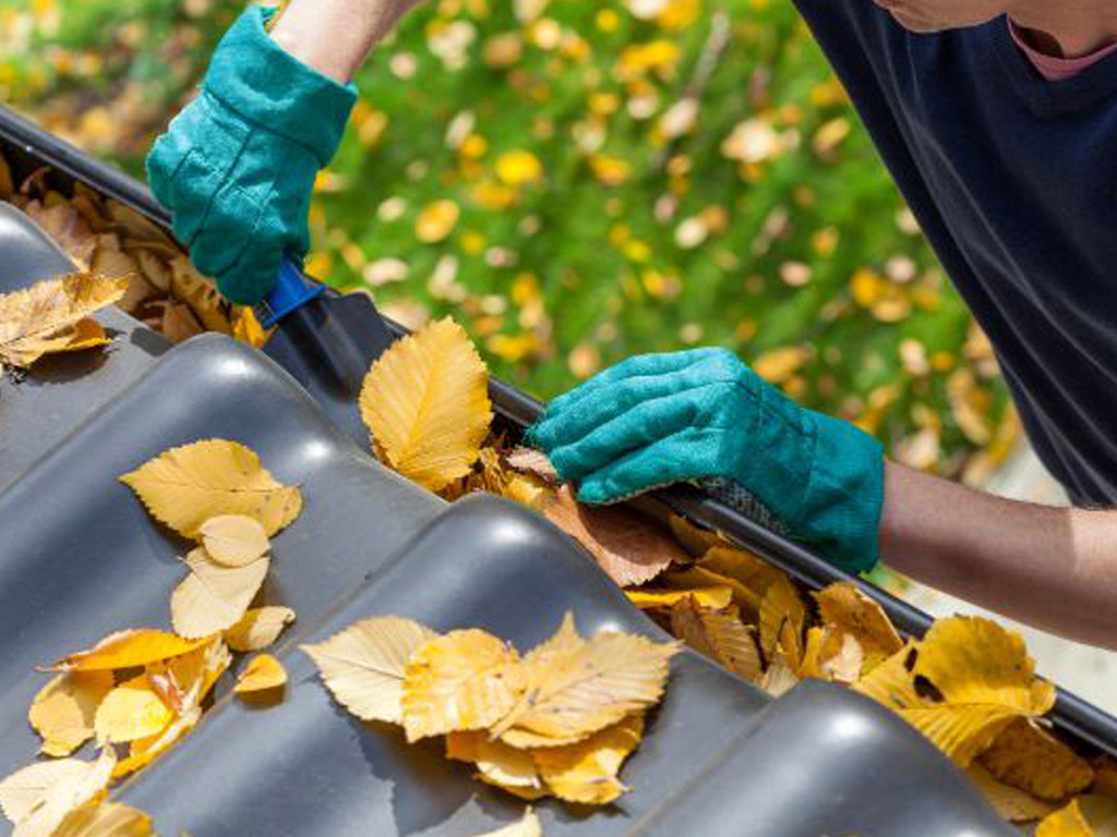Squeaky Clean Services Gutter Cleaning